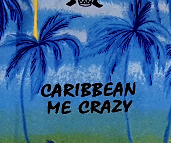 "Caribbean Party" inkl. Shorts - für Kinder von 1-8