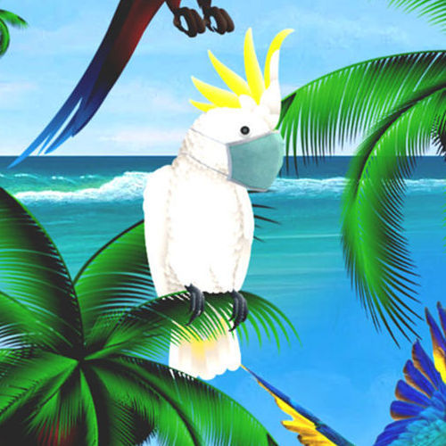 Hawaiihemd "Parrots Island" - Größe 3XL - 8XL
